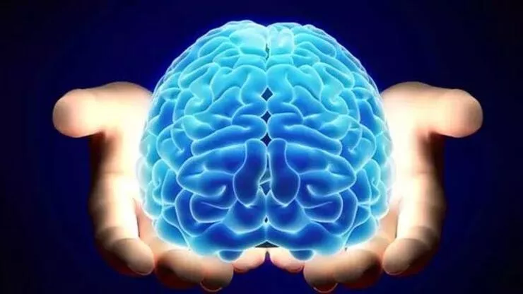 Günün Bilgisi : Beynimizin %10’unu mu kullanırız?