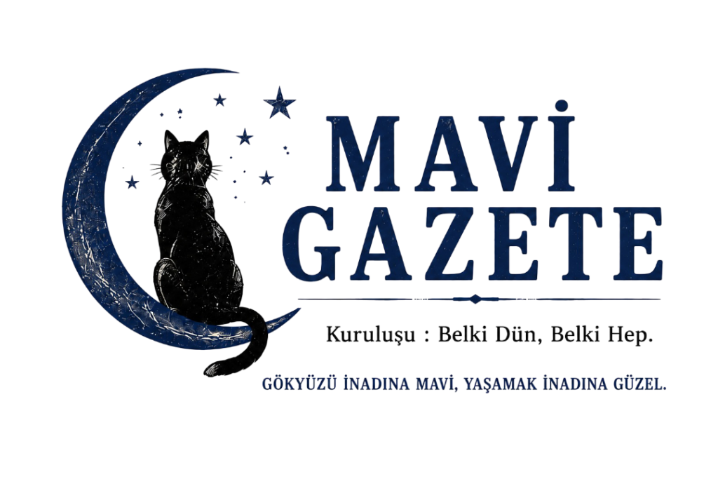 639c0454-8533-4b98-9a56-efe153cbc098-1-1024x683 Gazete